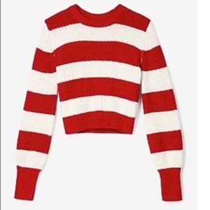 Express Striped sweater